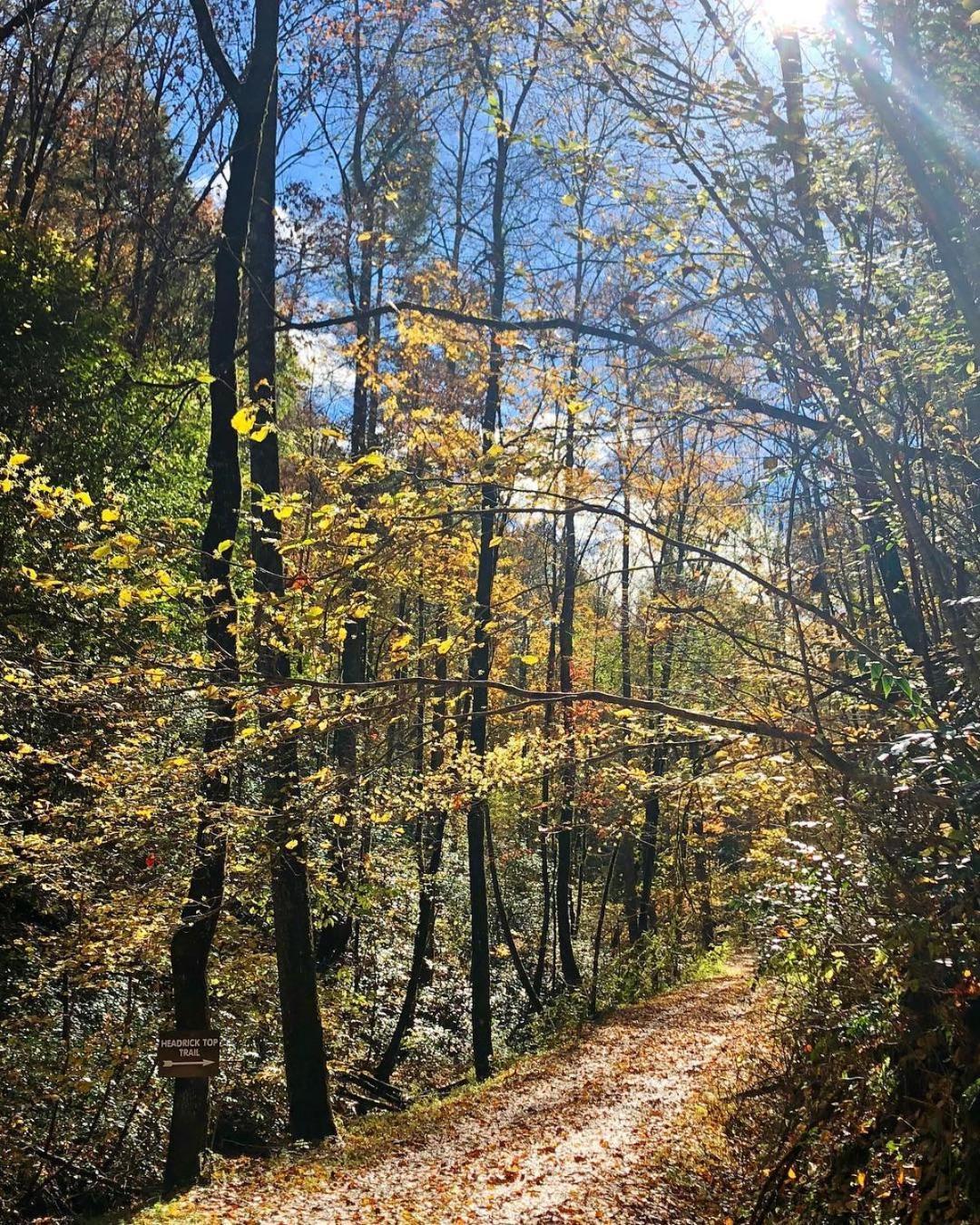 Eagle'S Ridge Villa Sevierville Kültér fotó